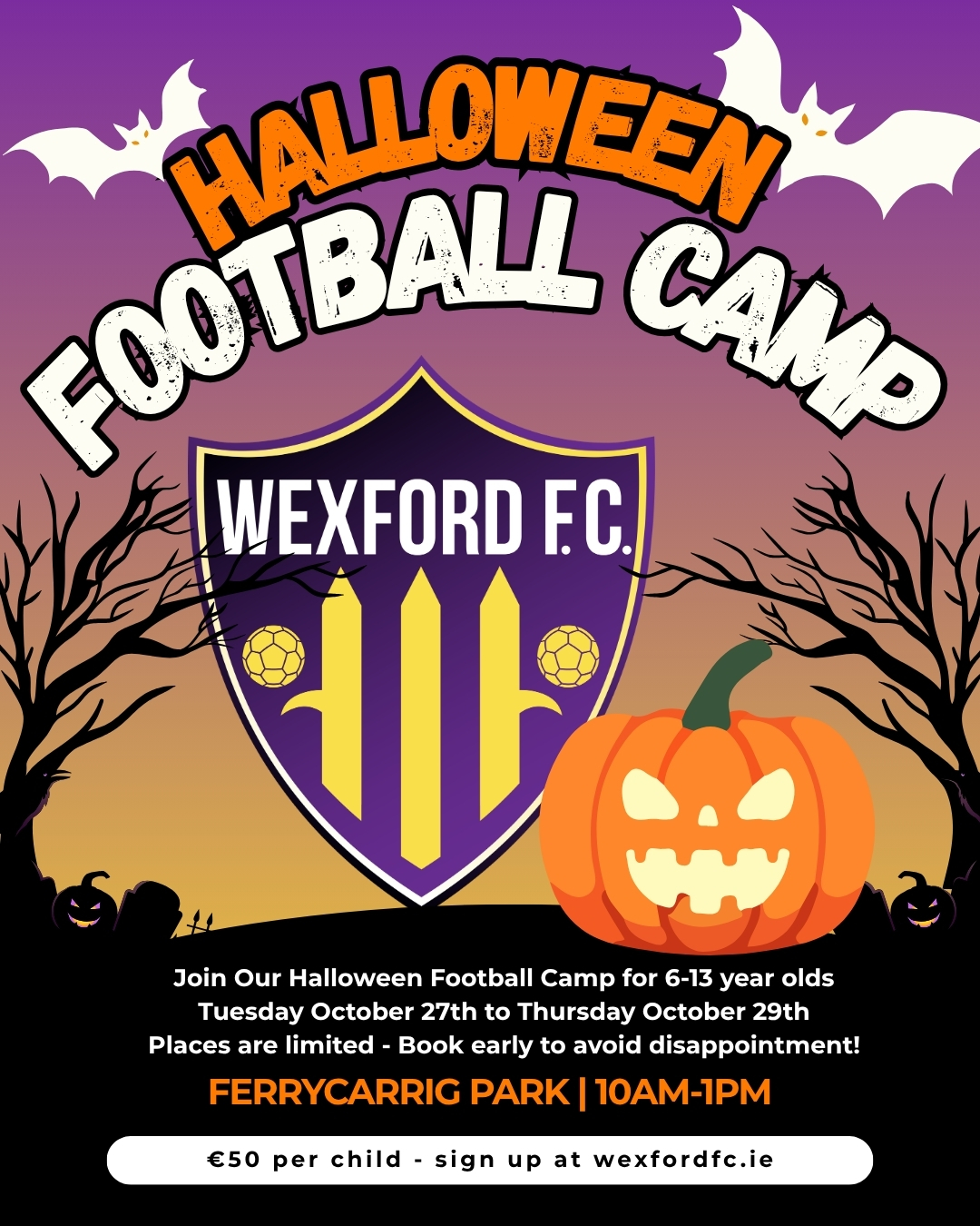 Wexford FC Halloween Camp 2026